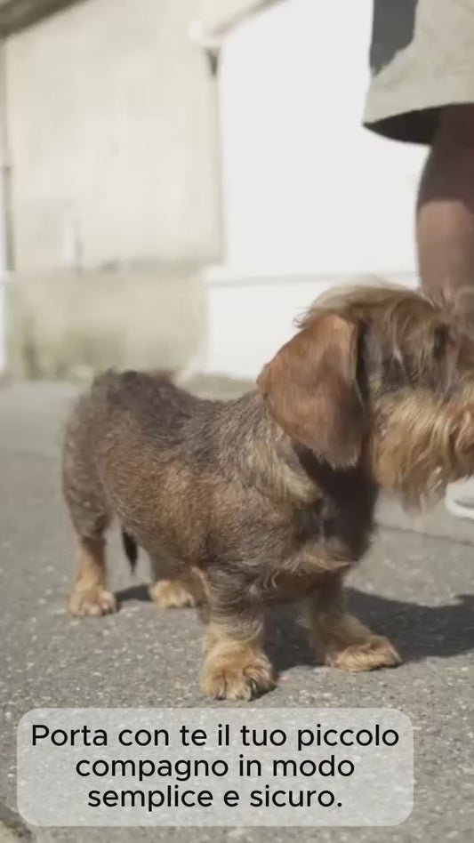 Trasportino a tracolla per cani e gatti